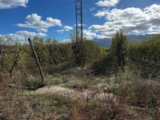Lote de dos fincas en Dehesas (Ponferrada).