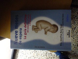 Guía definitiva, nueve meses de espera.