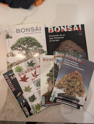 Lote revistas Bonsai Pasión + libro