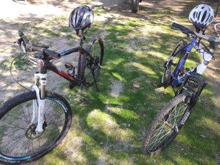 Pack 2 Bicicletas Berg i BH de montaña o paseo