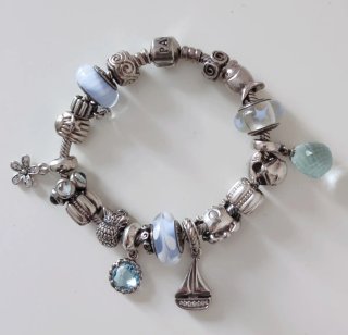 Bracciale Pandora Moments con Charms