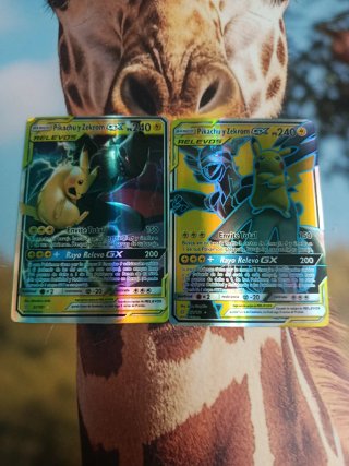 2 Cartas Pokémon Pikachu y Zekrom GX