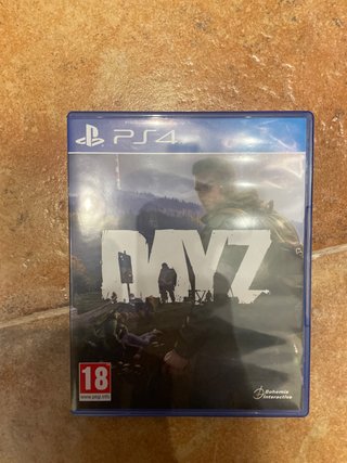 DayZ (PlayStation 4)