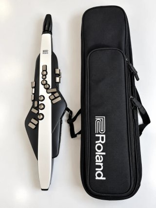 Roland Aerophone AE-20 – Sassofono digitale + custodia
