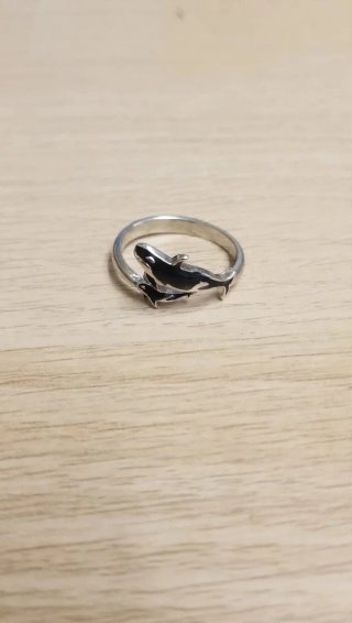 Anillo Ajustable de Acero Inoxidable