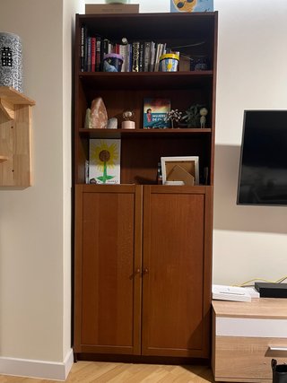 Mueble de salón con estantería y armario