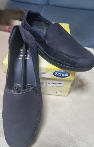 Zapatos Scholl Azules