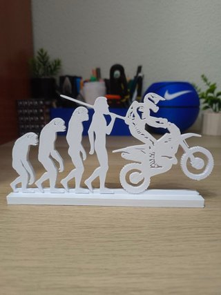 Figura Evolución Motera