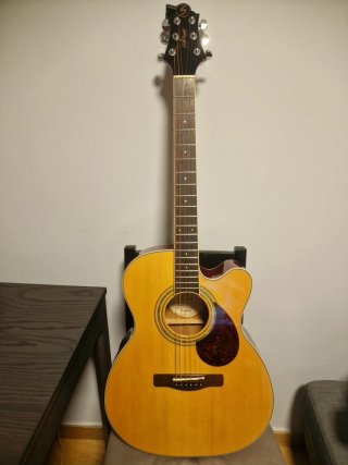 Guitarra Acústica Samick Greg Bennett