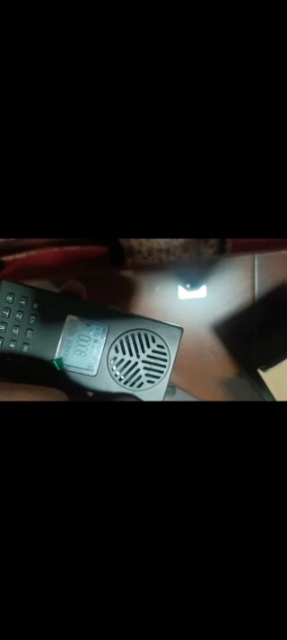 Reclamo electrónico y educador de canto para aves