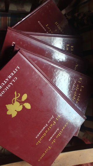 Libros de literatura española