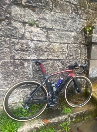 Bicicleta de Carretera Trek Madone SLR 6