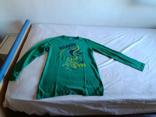 Camiseta de manga larga verde con dinosaurio