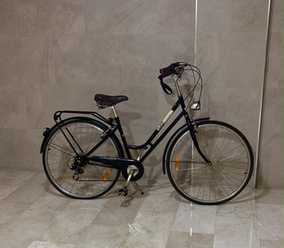 Bicicleta de paseo clásica