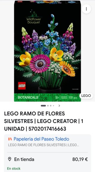 LEGO Ramo de Flores Silvestres (10313)