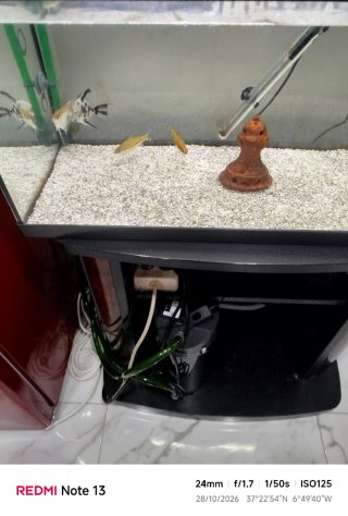 Acuario con Mueble y Filtro