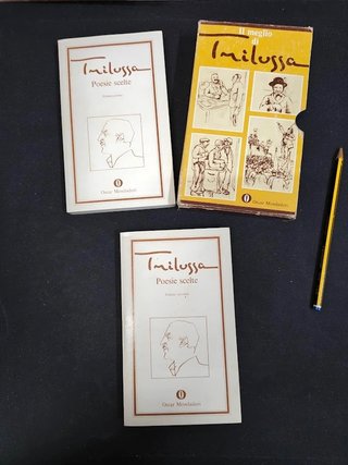 Cofanetto Il Meglio Di Trilussa Poesie Scelte