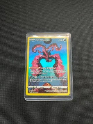 Moltres de Galar SWSH 284 Carta Pokémon