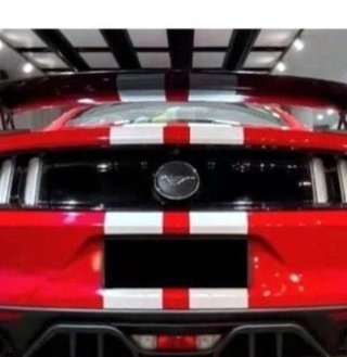 Alerón Ford Mustang Look GT500 Racing