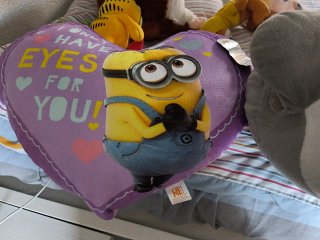 Peluche Totoro y Cojín Corazón Minions