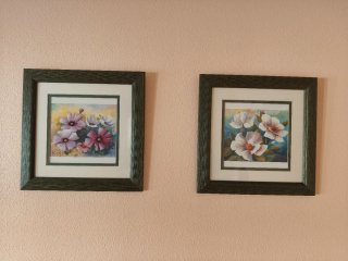 Set de 2 Cuadros con Motivos Florales