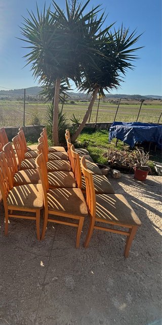 Se Venden 25 Sillas de Madera 10€ Unidad Transport