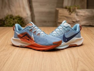 Zapatillas Nike ReactX Pegasus Trail 5