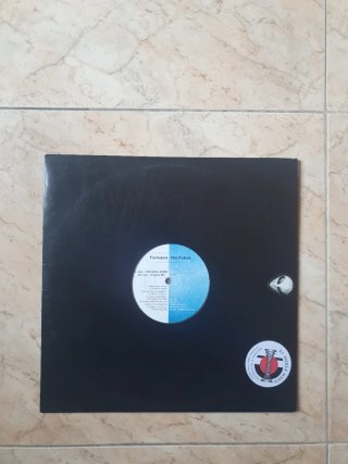 Vinilo Remember Formania- The Future
