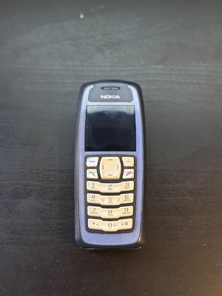 Nokia 3100