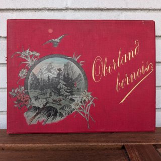 Álbum de Fotos Oberland Bernois s.XIX
