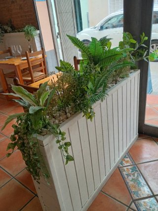 Jardinera Blanca con Plantas Decorativas