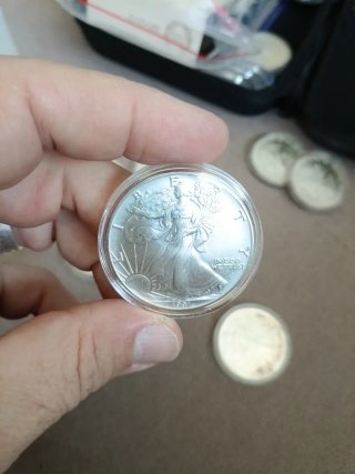 Moneda de Plata American Eagle 1991 (1 oz)