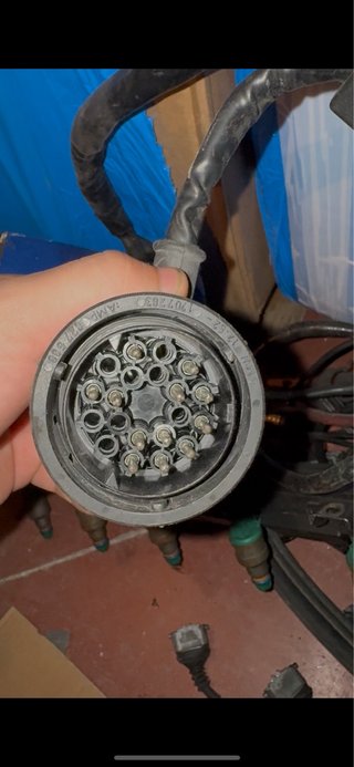 Rampa Inyectores M50B25NV con Cableado E30