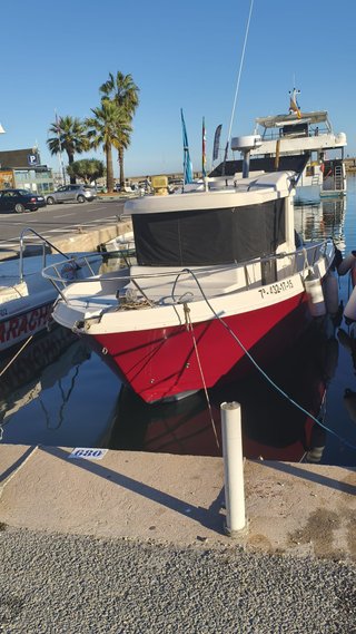 BARCO DE PESCA SENTINEL 28 PROFISHER