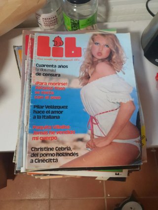 Lote revistas época destape LIB