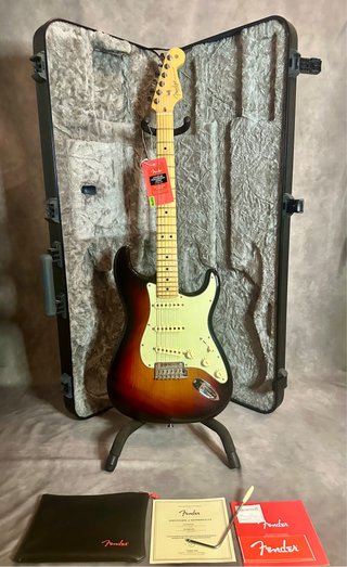 Fender Stratocaster American Professional 2019