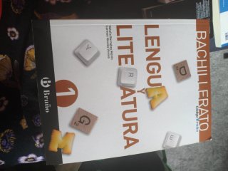 Lenguan y literatura