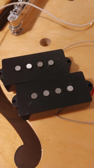 Pastilla para Bajo Fender Squier