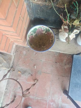 Macetero de Barro