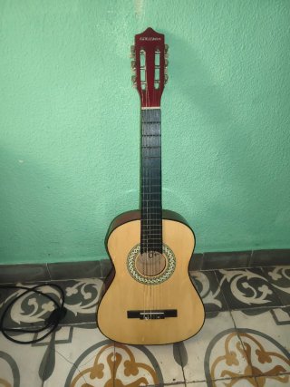 Guitarra Española Pleyon