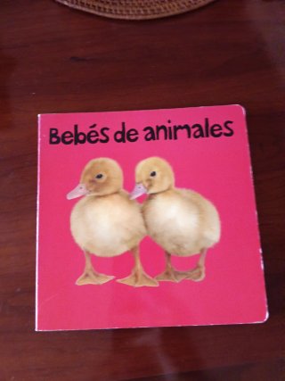 Bebés animales