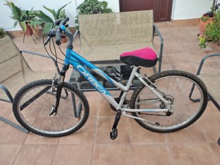 Bicicleta de Montaña Orbea Azul y Gris
