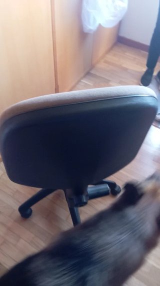 Silla de escritorio