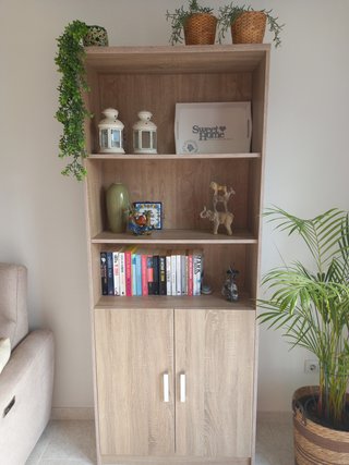 Estantería, mueble para tele, mesa de centro