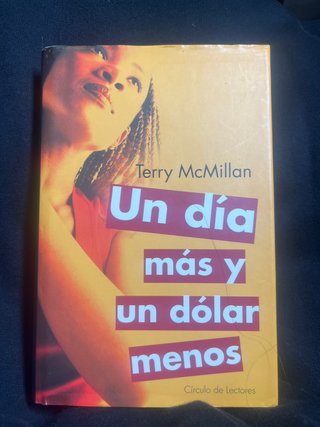 libro un día más un dolar menos de Terry McMillan