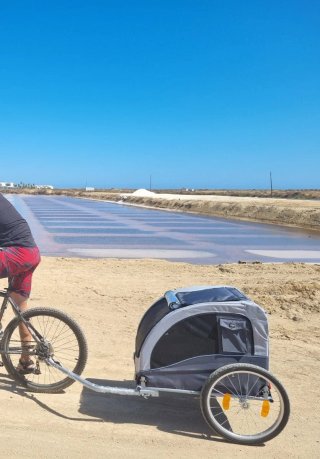 Carro para bicicleta para perros