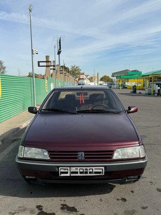 Peugeot 405 SRi 1.9 125cv 8v 1991