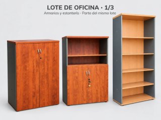 Lote de Muebles de Oficina