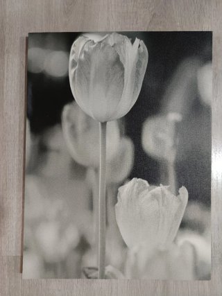 Cuadro de Flores en Blanco y Negro, 40x30cms