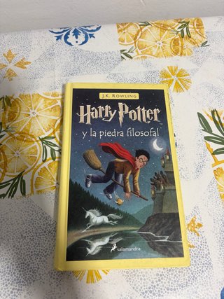 Libro Harry Potter